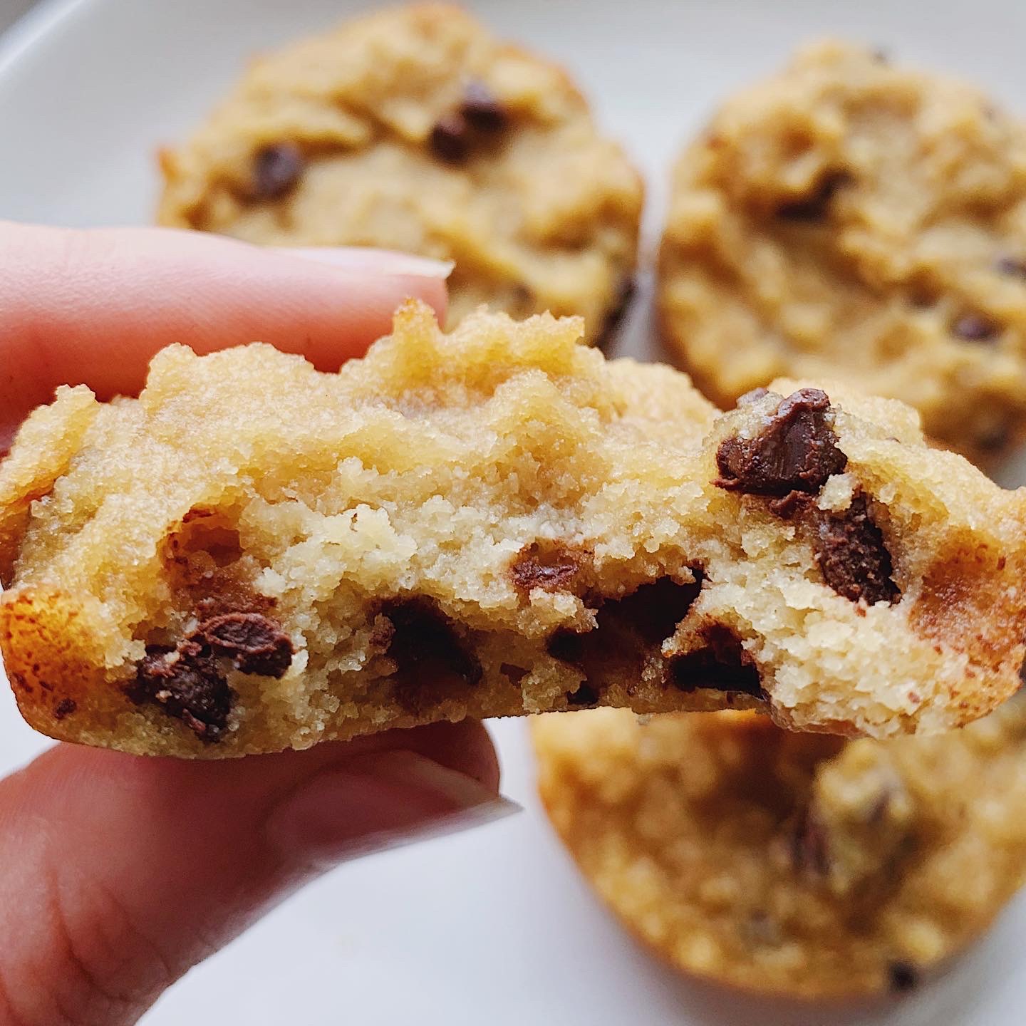 Chocolate Chip Mini Muffins (Copycat Little Bites)